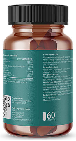 AxonFuel_Back_LR_v3A